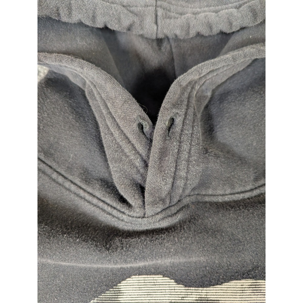 North Face Men Grizzly Bear Mountain Graphic Hoodie Black Sleeve Logo M #2339 - Picture 6 of 9